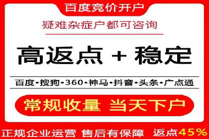 SEM广告投放优化案例研究